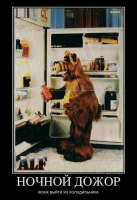 Прикрепленное изображение: Ночной дожор.jpg